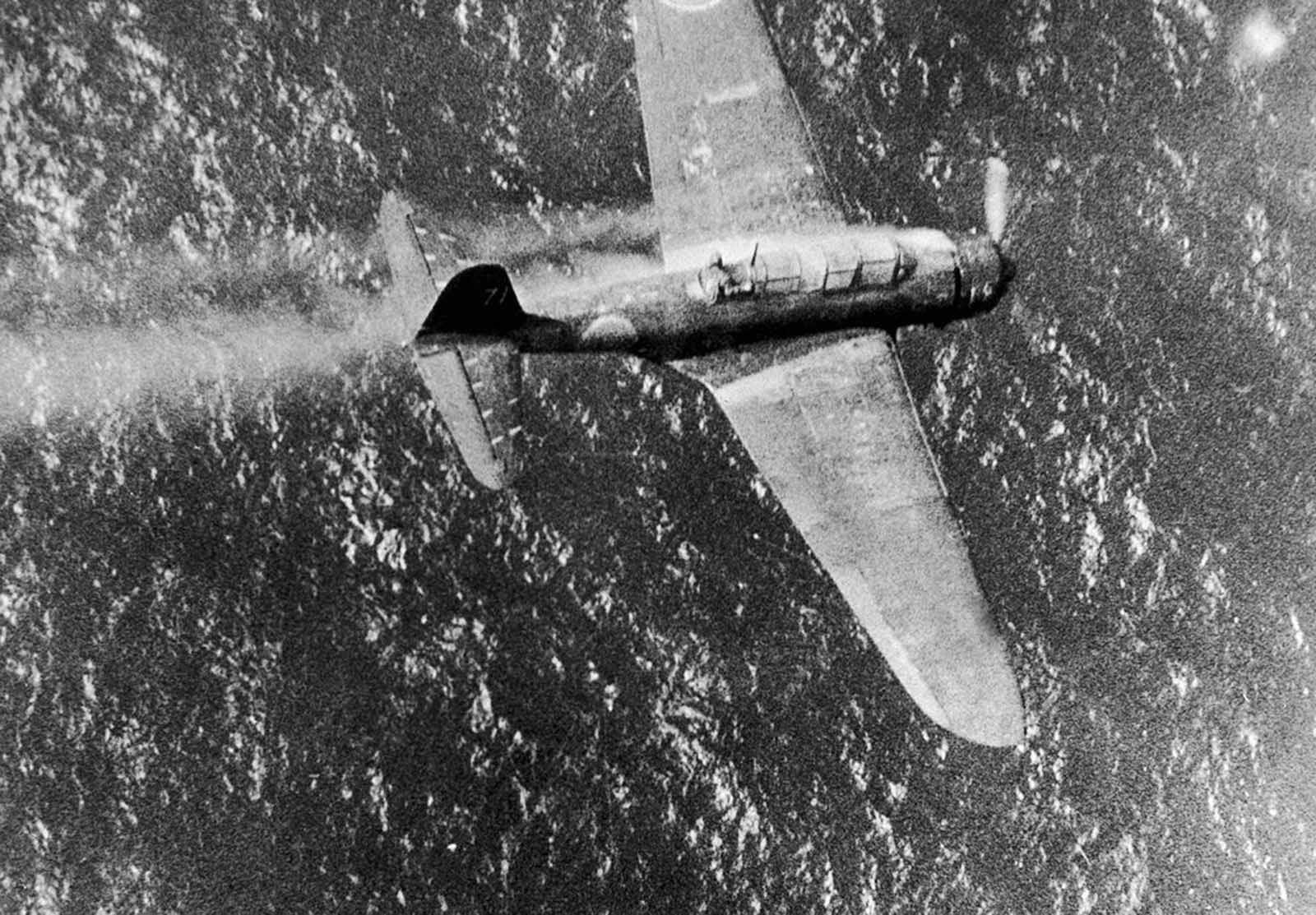 With its gunner visible in the back cockpit, this Japanese dive bomber, smoke streaming from the cowling, is headed for destruction in the water below after being shot down near Truk, Japanese stronghold in the Carolines, by a Navy PB4Y on July 2, 1944. Lieutenant Commander William Janeshek, pilot of the American plane, said the gunner acted as though he was about to bail out and then suddenly sat down and was still in the plane when it hit the water and exploded.