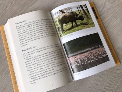 Můj africký příběh: Cesta za snem (Hana Hindráková), autobiografie, memoáry, cestopis, ukázka, fotografie