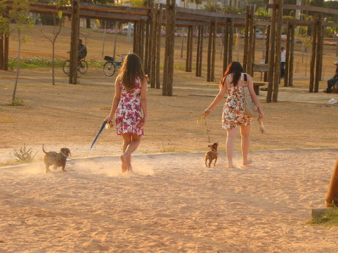 Domingo no parque