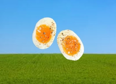 benefits of chicken eggs that you have never read before