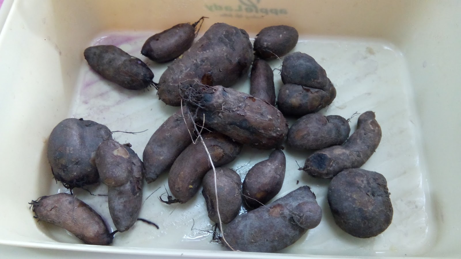 Catatan Monie: ubi badak dan ubi keling