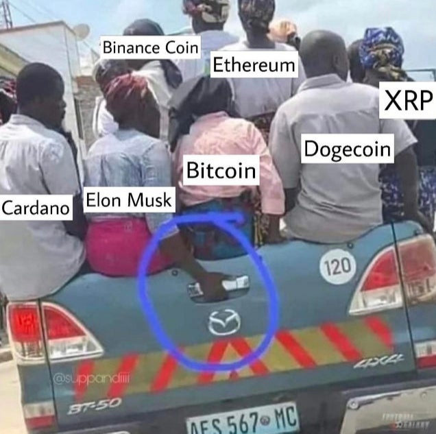 Bitcoin Crash 2021 - Elon Musk - lustige Bilder