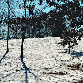 Sled trails on a hill in a park