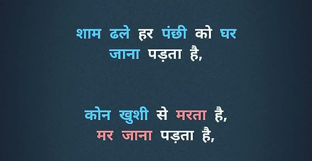 two line shayari in hindi images 