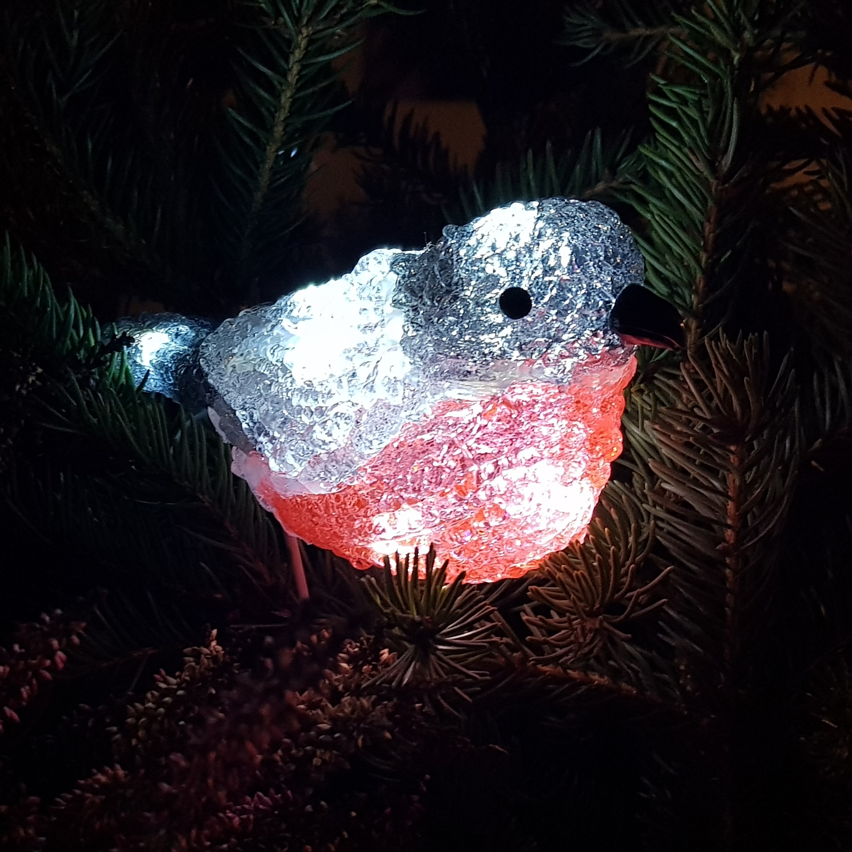 JUL I NORR Utebelysning