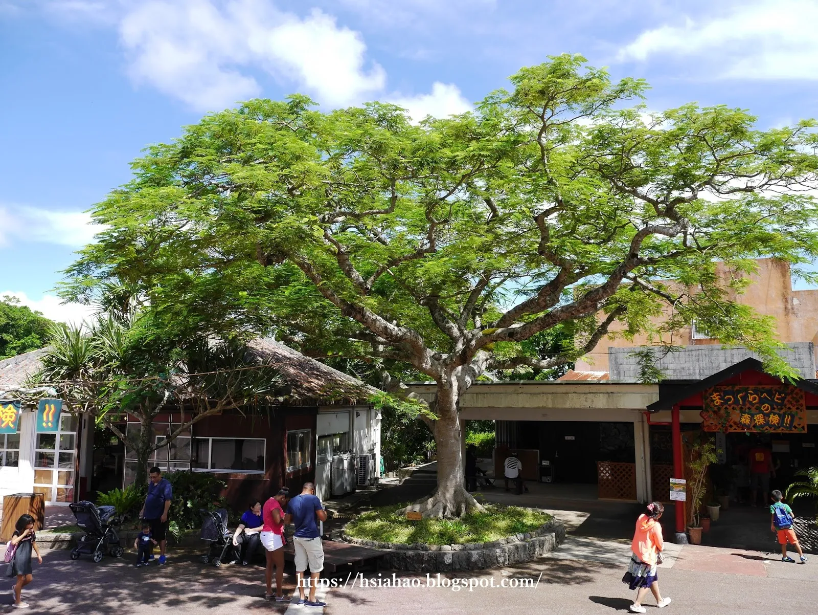 沖繩-景點-推薦-親子景點-家庭-沖繩世界文化王國-自由行-旅遊-Okinawa-world-Gyokusendo-Cave
