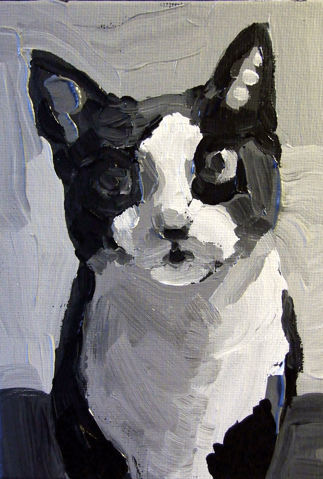 Paintings From the Parlor Tuxedo Cat Original Oil Painting by Diane