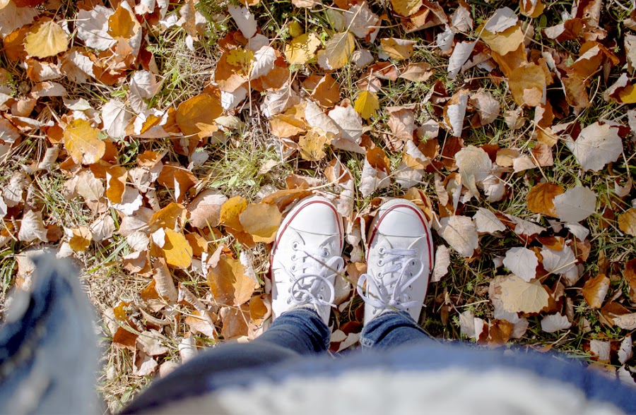 zaragoza otoño fotografía