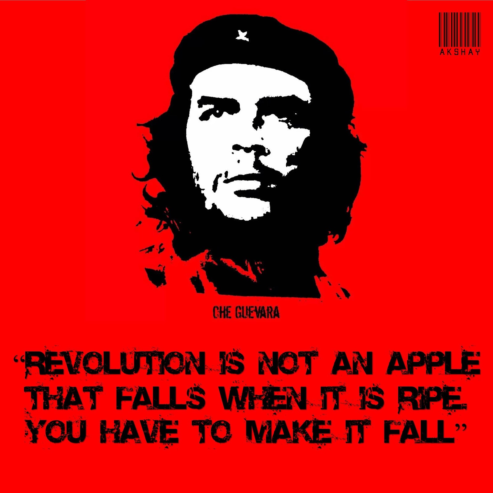 Che Guevara Quotes Love Revolution