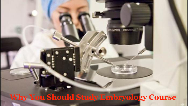 andrology embryology review course manual on transportation