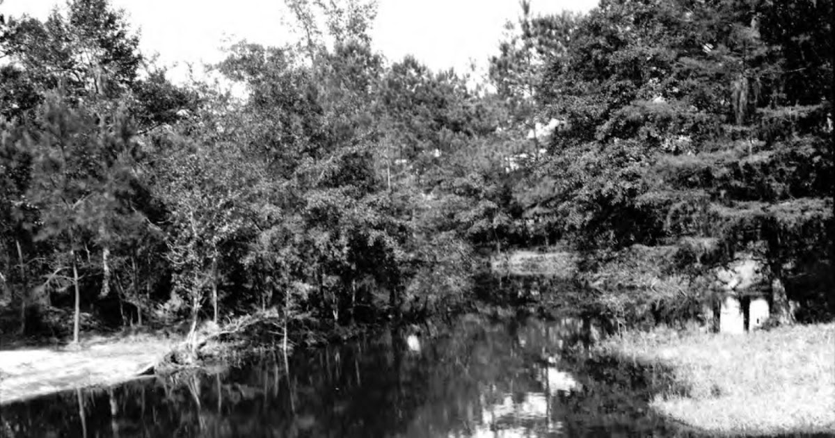 Tammany Family Percy Viosca, Jr. in Talisheek, 1923