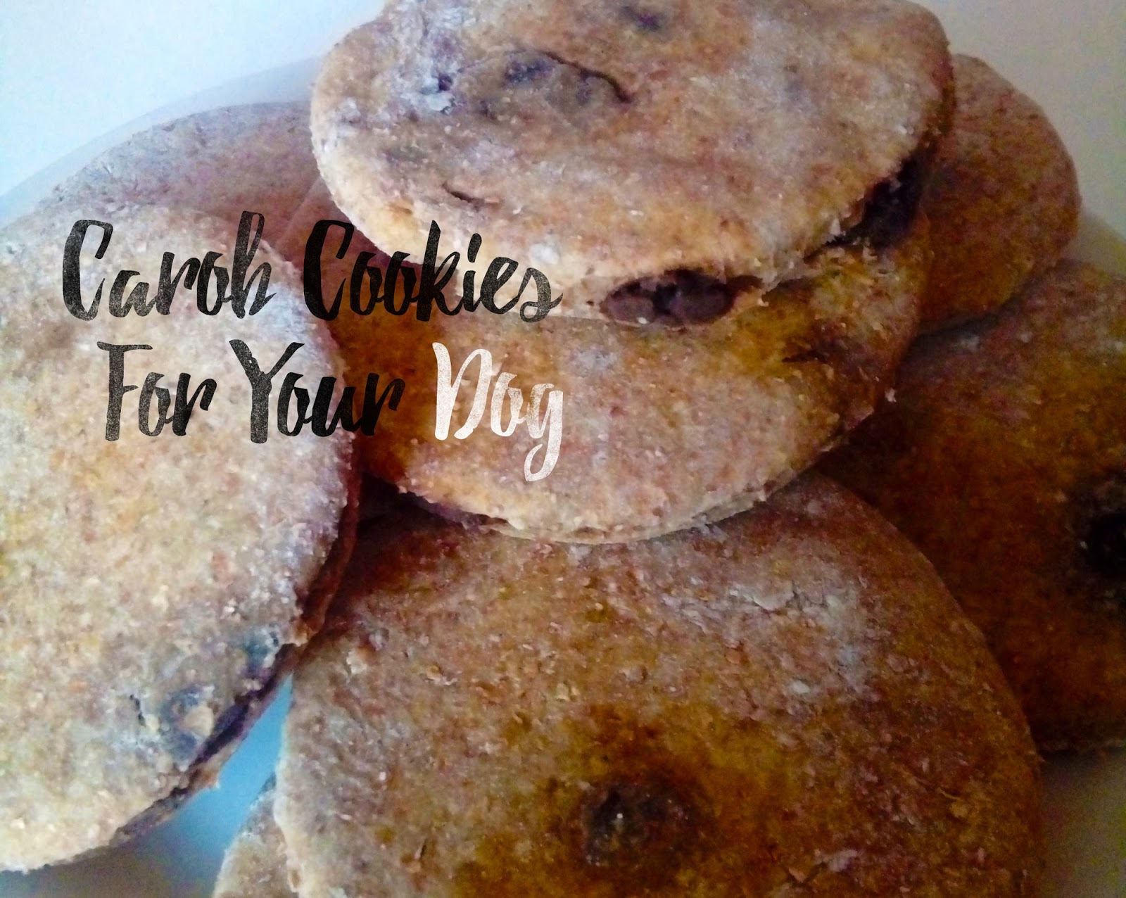 Make These Carob Chip Cookies For Your Dog!