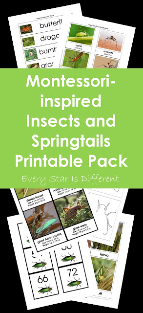 Montessori-inspired Insects and Springtails Printable Pack