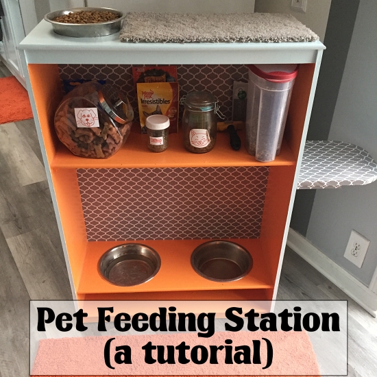 Runs for Cookies: TUTORIAL: How to Make a Pet Feeding Station