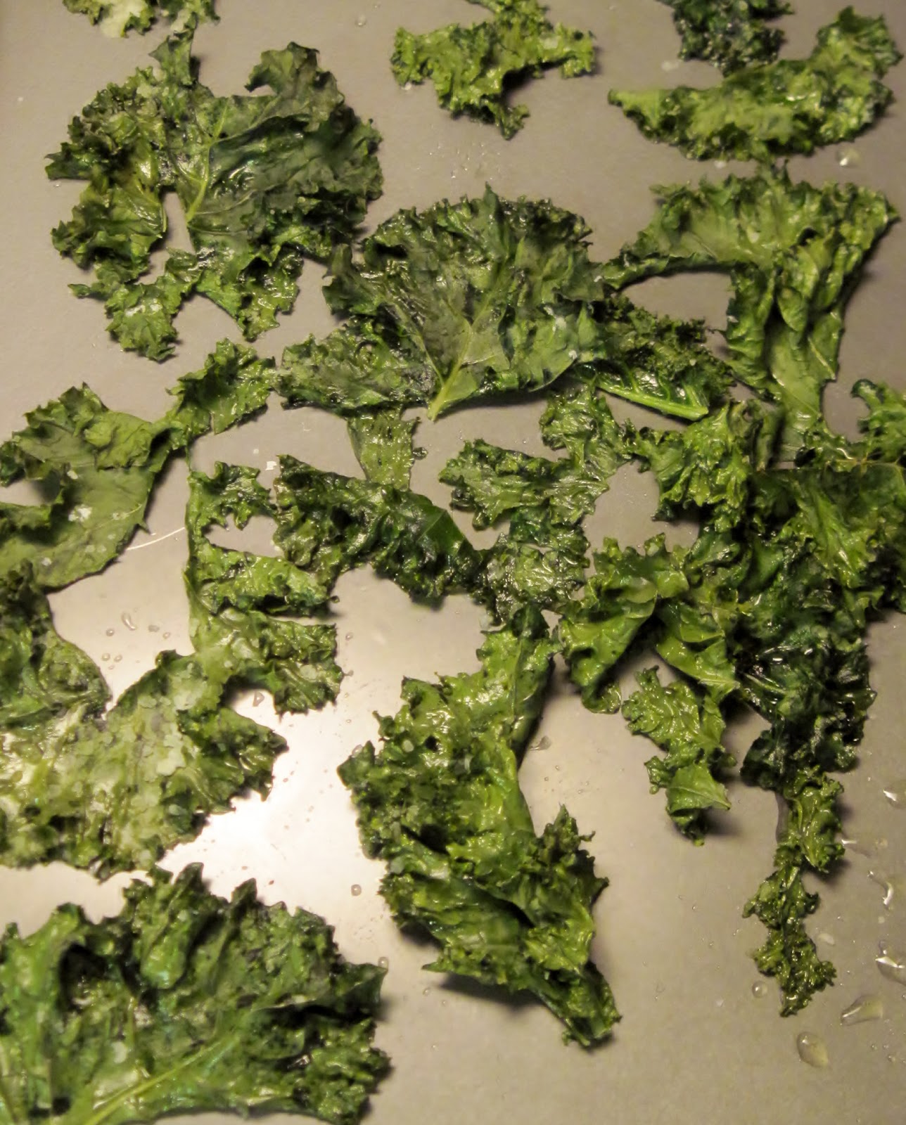 Carolina Sauce Company The "Skinny" on Kale Chips Awesome or All Hype?