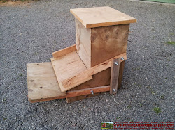 automatic chicken feeders success building plans build coop cf100 begin training ready action let chcken
