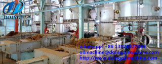 palm oil milling machine 