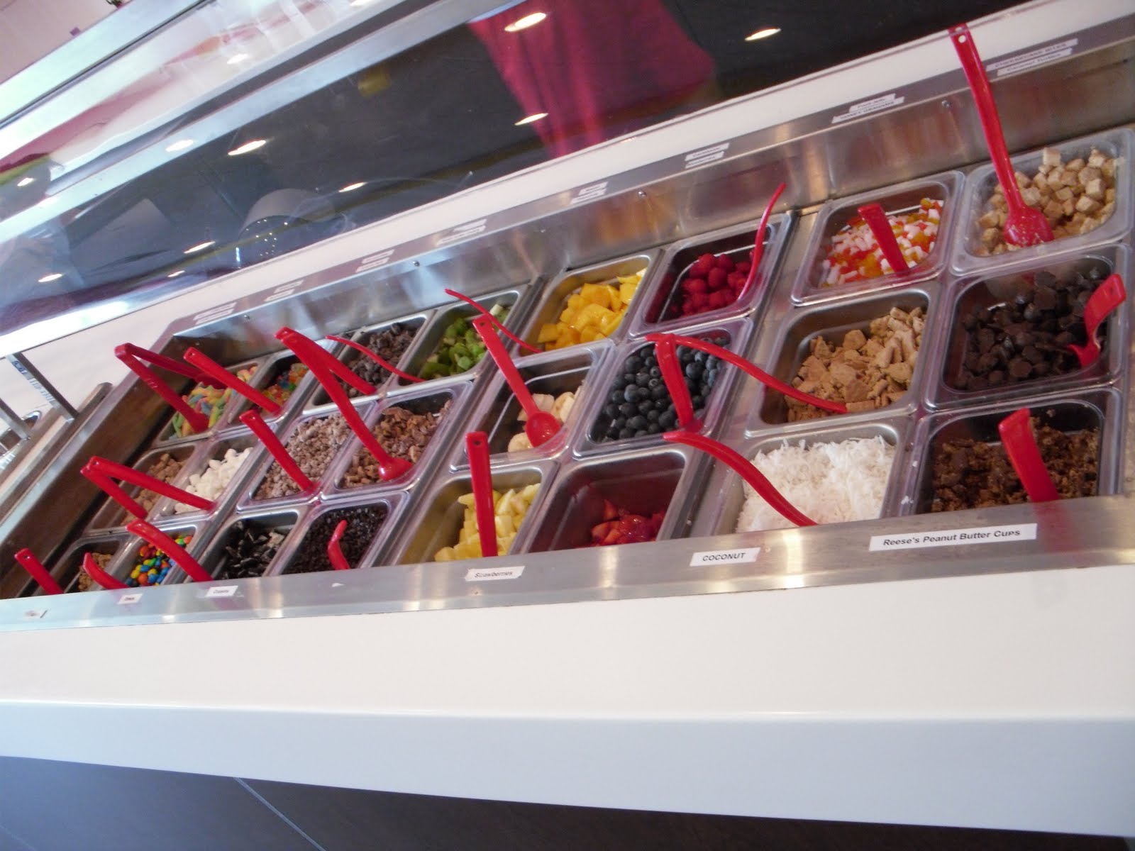 HoCo Connect Yogi Castle A new frozen yogurt place worth trying