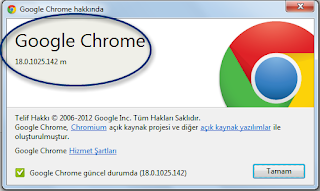 Google chrome 18.0.1025.142 m güncellemesi