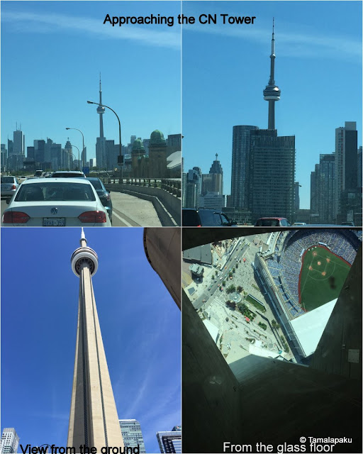 CN tower