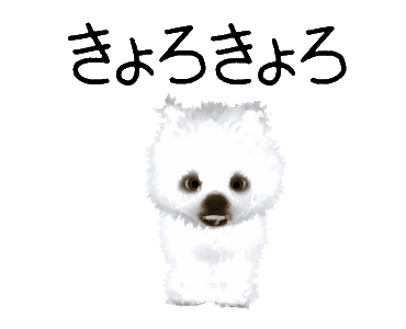 Line Creators Stickers Pomeranian Cg Puppy White Example With Gif Animation