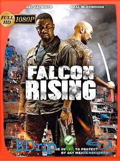 Falcon Rising (2014) BDRIP 1080p Latino [GoogleDrive] SXGO