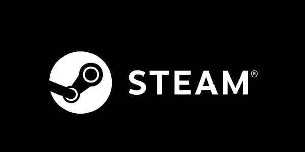 Valve's latest Steam client beta has pointed towards the possibility of a future hardware release