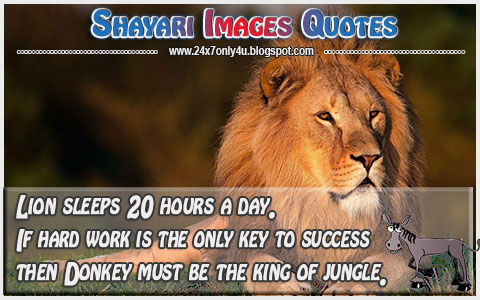 Hard work is not the only key to success--Funny-Humor-Quotes-