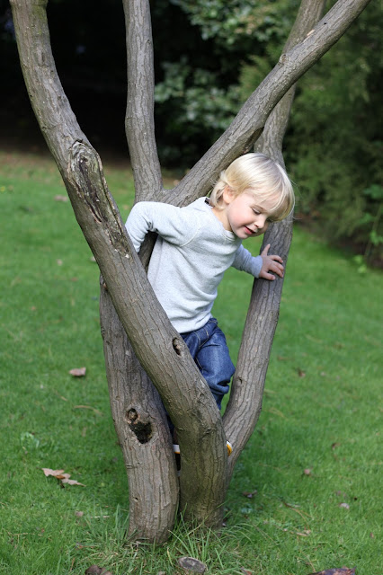 tree climbing