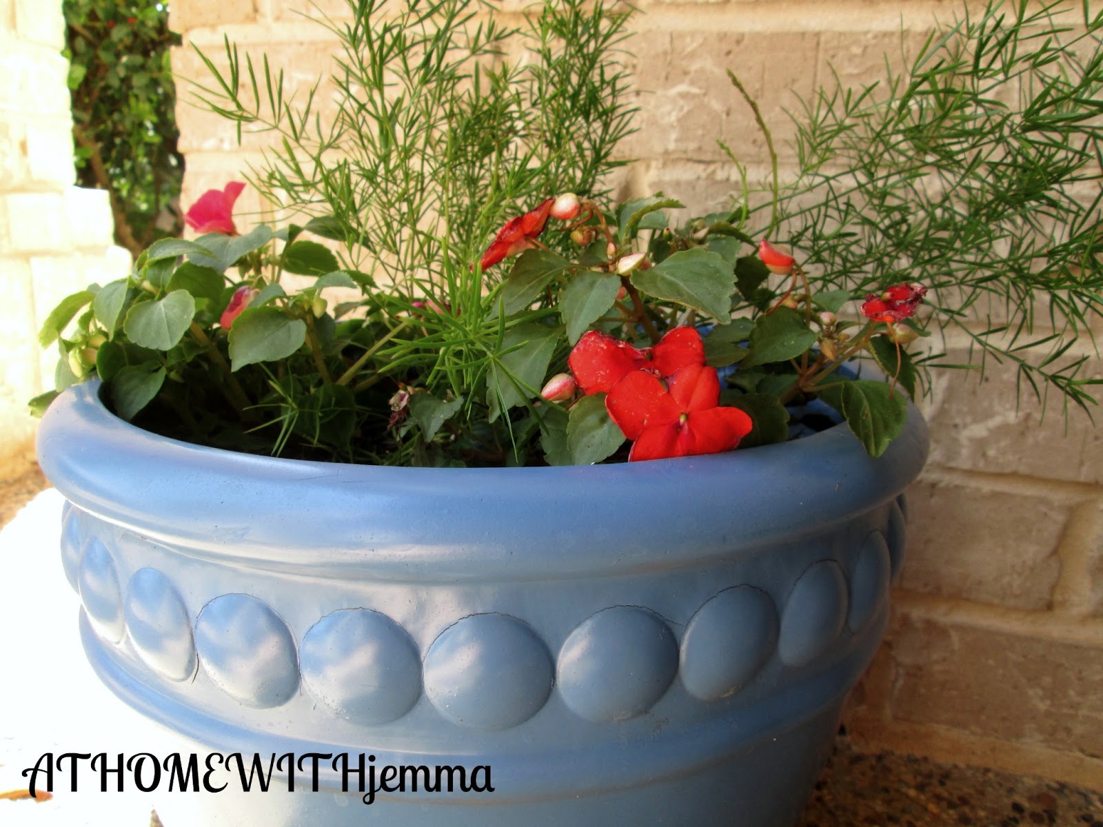 My Little Blue Flower Pots At Home with Jemma