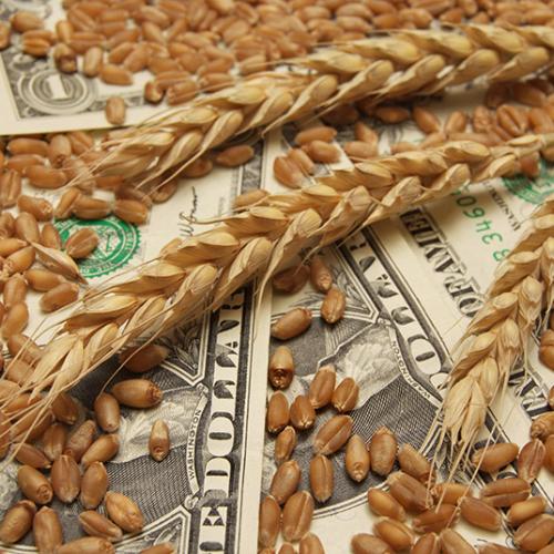 SoxAgro WHEAT FUTURES JUMPS OVERNIGHT, INVESTORS BULLISH ON SOFT RED