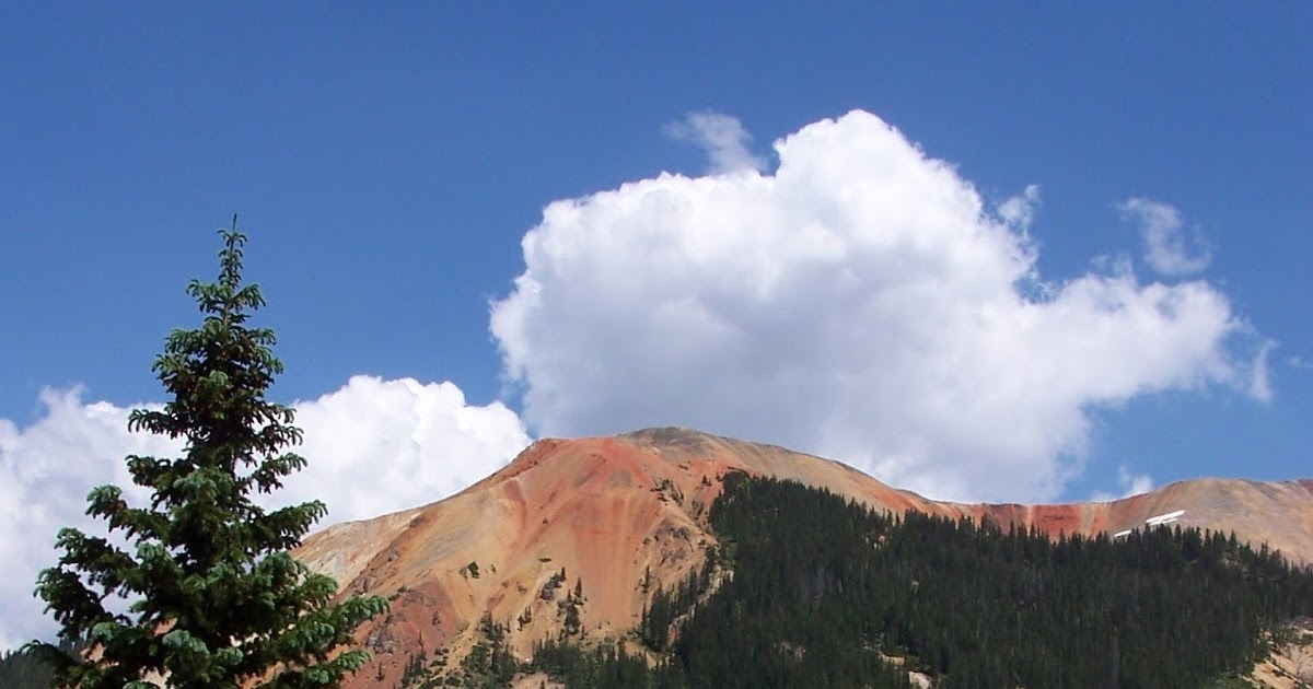 The Treasure Beaches Report Direct From Florida's Treasure Coast. 7/17