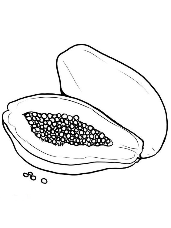 10+ Gambar Pepaya Untuk Mewarnai