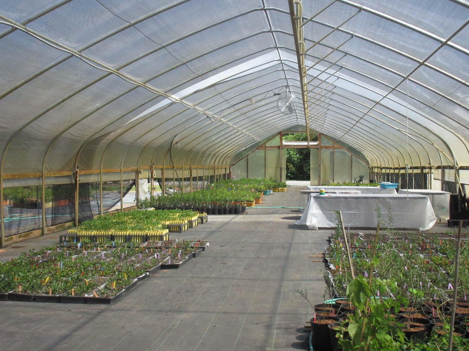 Delights of the Heart Minto Island Farm