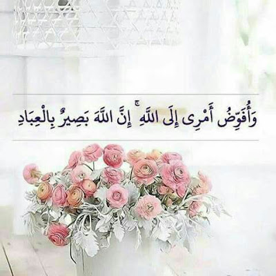صور الملف الشخصي للواتس اب صور الملف الشخصي للواتس اب