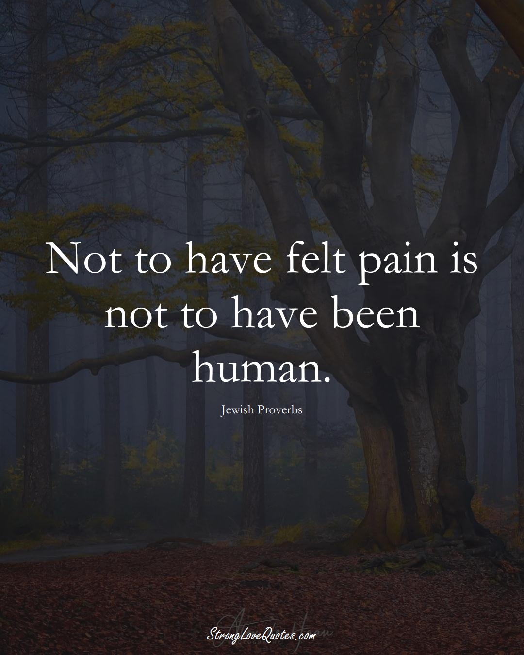 Not to have felt pain is not to have been human. (Jewish Sayings);  #aVarietyofCulturesSayings