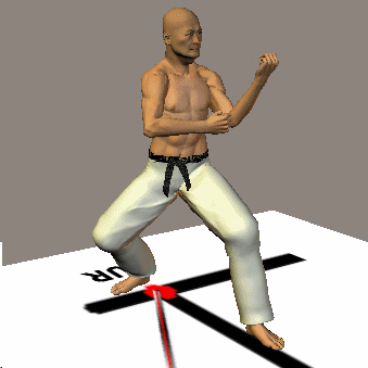 Todos los Katas de Karate: HEIAN SANDAN PASO A PASO Y CON DETALLES