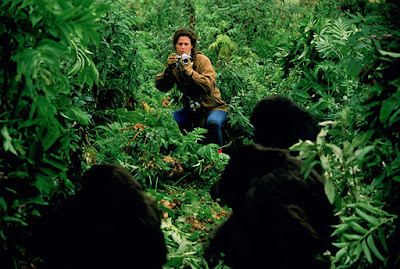 Gorillas In The Mist 1988 Sigourney Weaver Movie Image 2