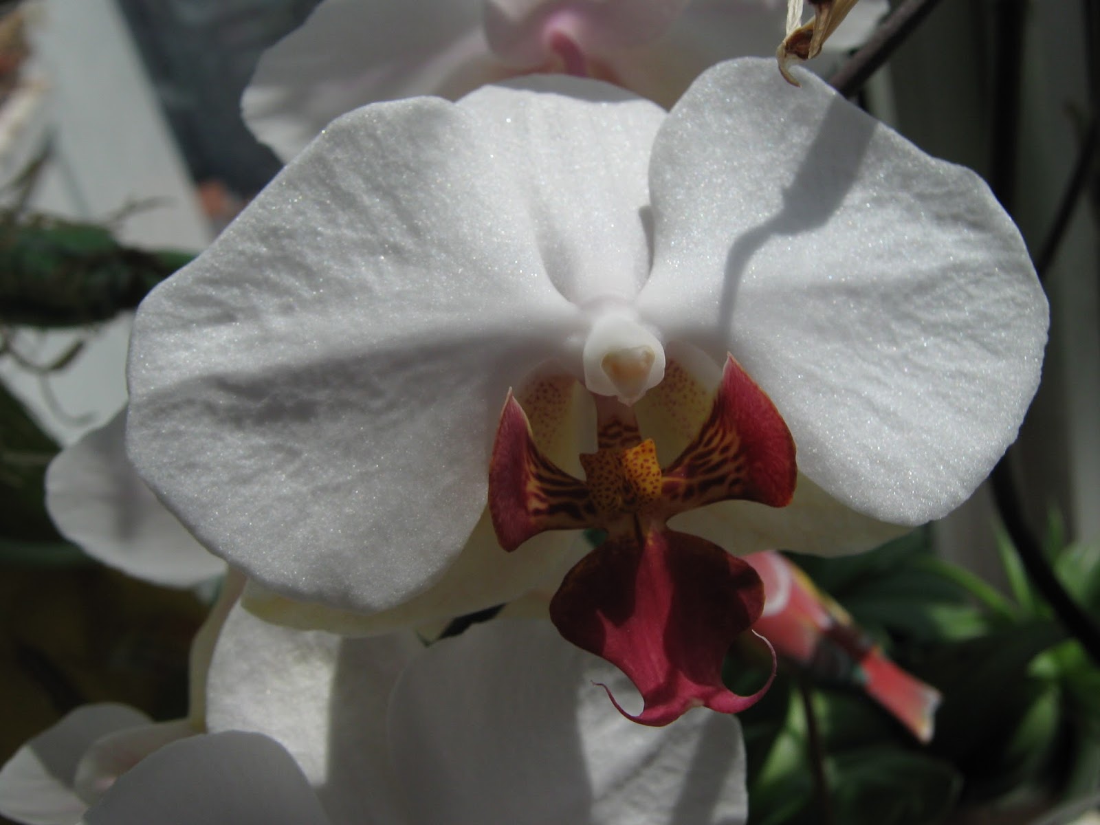 MATERIALES MARI LUZ: septiembre 2015