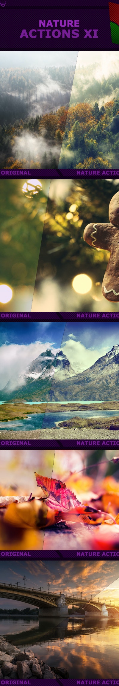 Nature%2Bactions%2BXI