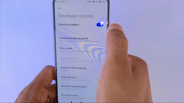 developer mode developer mode