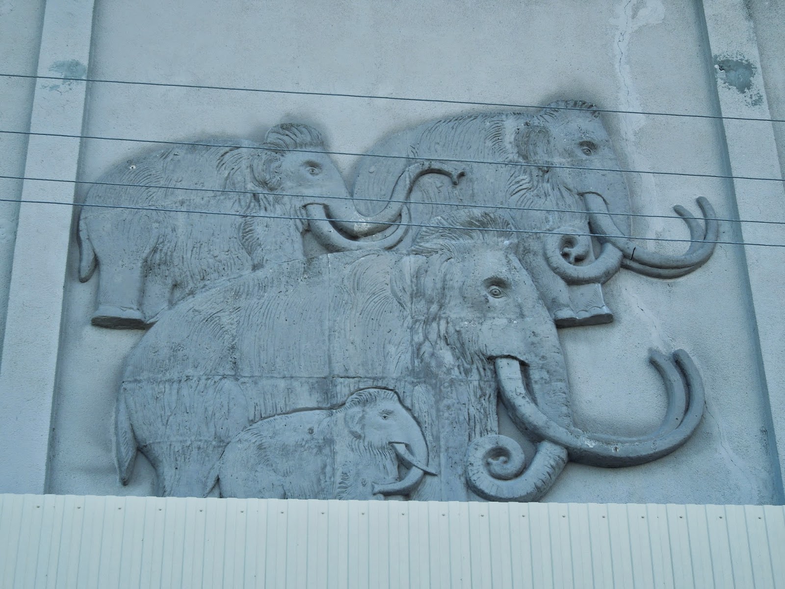 воронежская область костенки музей