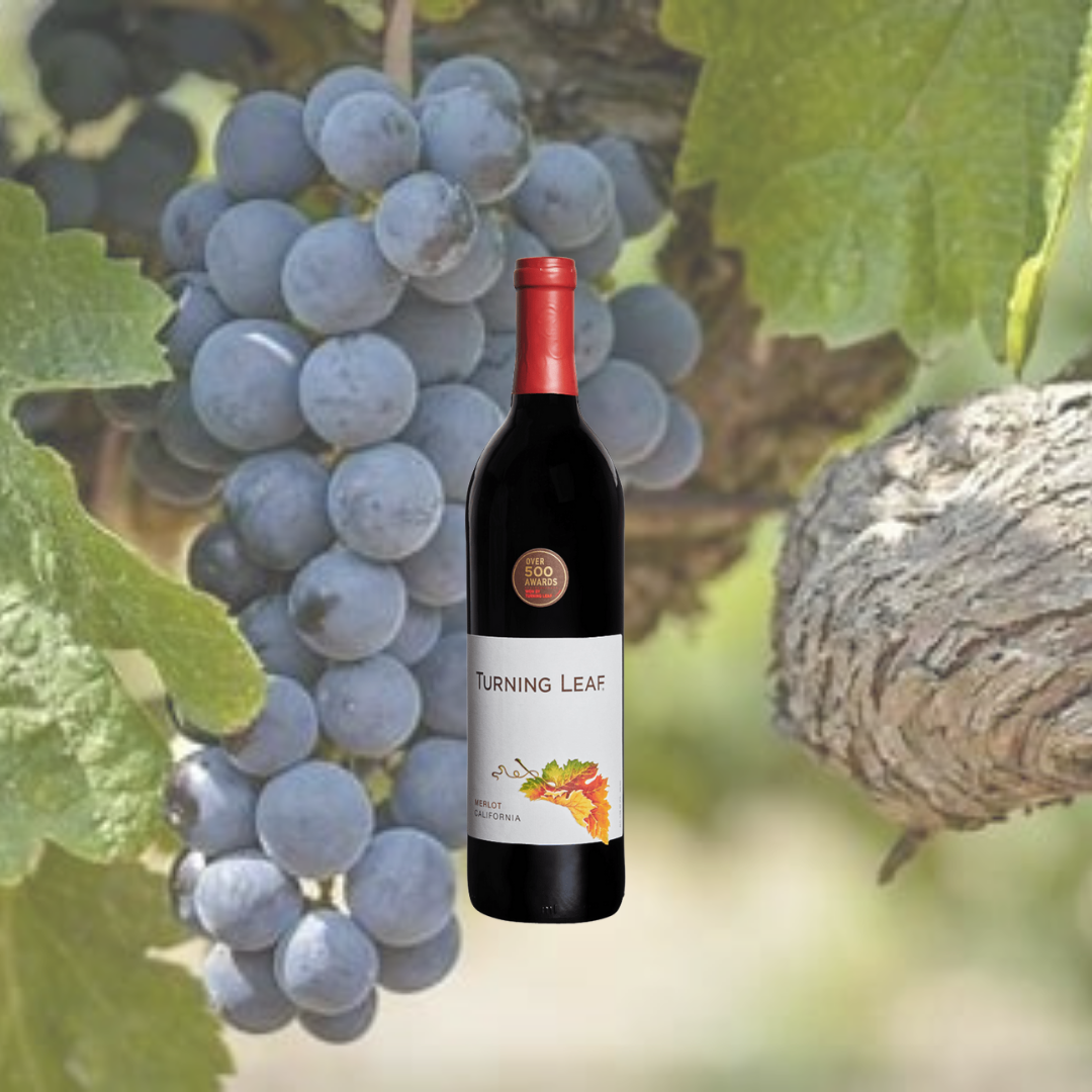 Wine Notes for Turning Leaf Merlot
