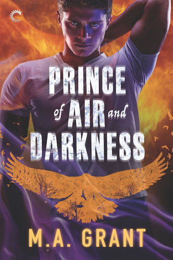 Prince of air and darkness | The darkest court #1 | M.A. Grant Prince of air and darkness | The darkest court #1 | M.A. Grant