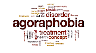 Online counseling for treating agoraphobia