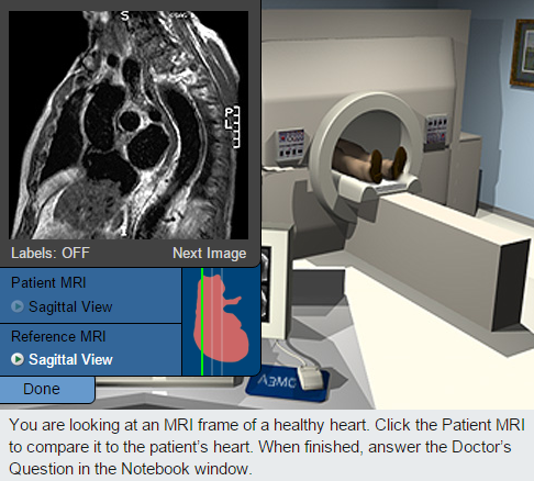 Anatomy and Physiology- It's Going Tibia Okay: Virtual Cardiology Lab
