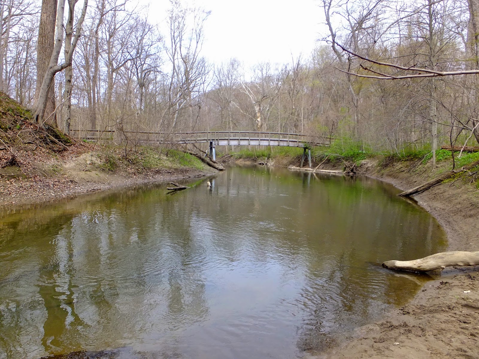 Plants Amaze Me Warren Woods, Kesling Nature Preserve, Southwest Michigan
