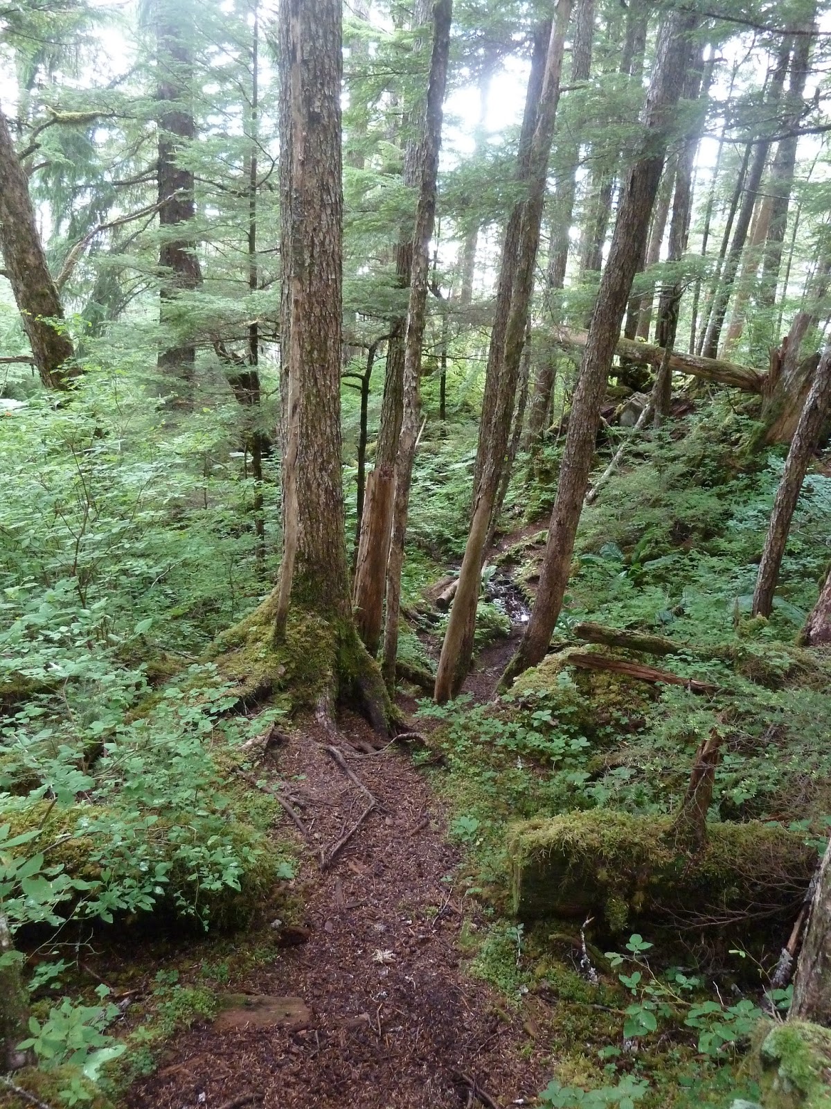 The Wanderer Hiking the Breadline