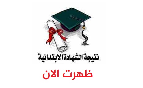 ظهرت النهاردة.. نتيجة الشهادة الابتدائية محافظة القاهرة 2016 بالاسم وبرقم الجلوس على رابط موقع مديرية التربية والتعليم جميع المحافظات