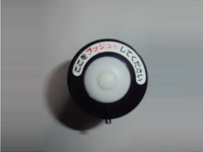 上面全体像 上面全体像